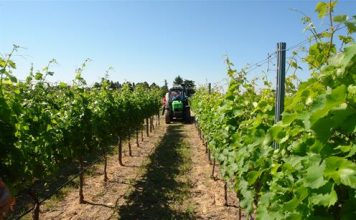 La CNMC vuelve a indignar a agricultores y ganaderos con un informe «disparatado»