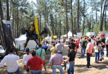 Todo listo para Asturforesta 2019