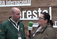 Entrevista a Marcos da Rocha, director de AsturForesta