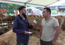 Entrevista a Jony Garrido, de la ganadería Maria Elsa Iglesias, de Los Campos (Pravia)