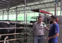 Entrevista a José Ramón Feito, alcalde de Tineo