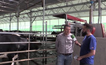 Entrevista a José Ramón Feito, alcalde de Tineo