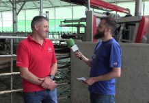 Entrevista a Javier González, de la ganadería Mingon (Tineo)