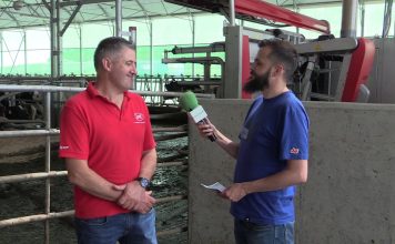 Entrevista a Javier González, de la ganadería Mingon (Tineo)