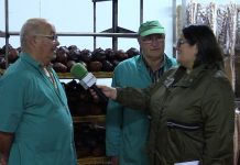 Entrevista a Ramiro Gómez y Nemesio Gómez, de embutidos Alta Sierra de Tineo