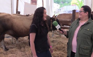 Entrevista a Diana Suárez, de la ganadería Peire (Fonceca, Cangas del Narcea)