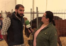 Entrevista a Adrián Lagar, presidente de la Asociación de Criadores de Ganado Equino de la Montaña Asturiana