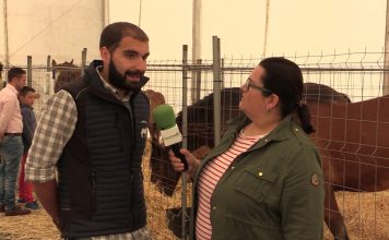 Entrevista a Adrián Lagar, presidente de la Asociación de Criadores de Ganado Equino de la Montaña Asturiana