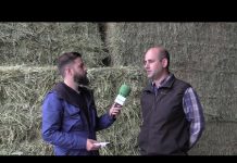 Entrevista a José Antonio Lorences, de Almacenes Lorences