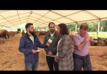 Entrevista al alcalde de Pravia, David Álvarez, y a la diputada electa Alba Álvarez