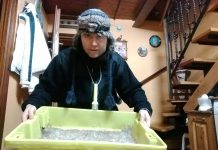 Anguleros del Bajo Nalón