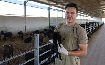 UPA en el CEJA: «Europa debe mimar a cualquier joven que quiera producir alimentos»