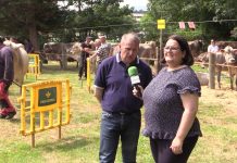 Entrevista a Emilio Longo, alcalde de Parres