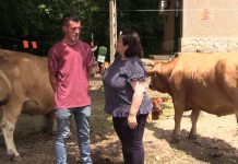 Entrevista a Roberto Rojo, joven ganadero parragués