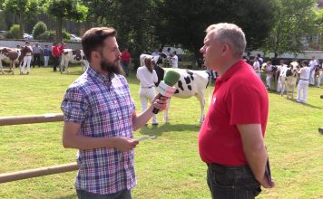 Entrevista a Santiago Mato, director de la Escuela de Preparadores de CONAFE