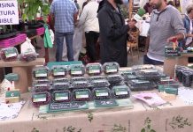 Entrevista a Sergio Mozo, de la ecofinca Cantamisina (Sariego)