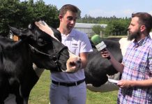 Entrevista a David Pons, un joven preparador de Menorca