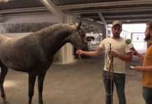 Entrevista a Juan Antón, criador de caballos de Cangas del Narcea