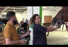 Entrevista a la odontóloga veterinaria Elia de la Cera