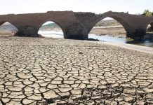 Más de 100 organizaciones instan a la ciudadanía a sumarse a la Huelga Mundial por el Clima