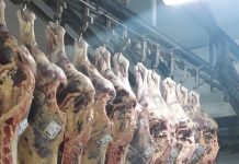 El Matadero Central de Asturias acondiciona su flota de camiones respetando el medio ambiente