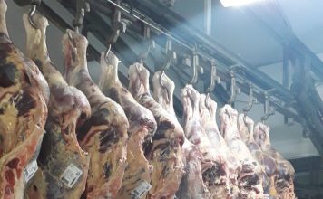 El Matadero Central de Asturias acondiciona su flota de camiones respetando el medio ambiente