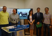 453 reses de 112 ganaderías se reunirán en el 137 Concurso de Ganado de San Agustín, en Avilés