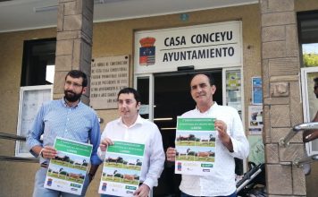 La II Subasta de Llanera contará con 15 animales de excelente calidad y garantías sanitarias