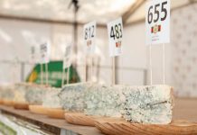 1.700 kilos de queso en el 49º Certamen del Cabrales