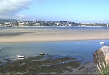 La ría del Eo, cerrada al marisqueo por el vertido de purines