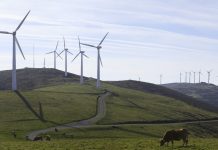 Dos empresas solicitan la instalación de nueve parques eólicos en ocho concejos asturianos