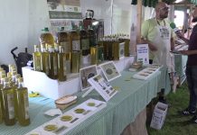 Entrevista a Carlos Jiménez, de Olea Nature