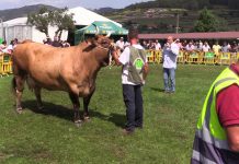 ‘Preciosa’, de la ganadería Inverpor 2SL, Vaca Gran Campeona en el concurso de Llanera