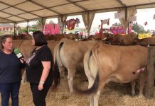Entrevista a la ganadera María Amor Rodríguez, en el III Certamen Ganadero de Gozón