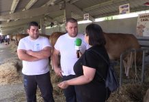 Entrevista a Raúl y Alejandro, de Ganadería Casillas