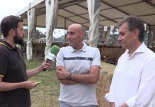 Entrevista a Jorge Suárez, alcalde de Gozón, y Daniel Fernández, concejal de Medio Rural