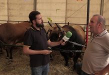 Entrevista a Silverio Toyos, de la Ganadería Reto