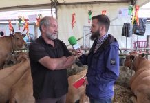 Entrevista al ganadero de Villaviciosa José Manuel Cardín, en Piedeloro (Carreño)