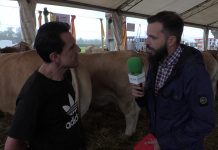 Entrevista al ganadero Ángel Martínez, de Cudillero, en Piedeloro (Carreño)