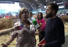 Entrevista a la alcaldesa de Avilés, Mariví Monteserín