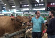 Entrevista a Adrián Iglesias, de Ganados Iglesias, en el Certamen de San Agustín