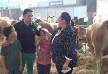 Entrevista a Pedro Vega, galardonado como Ganadero del Certamen de San Agustín por Caja Rural de Asturias