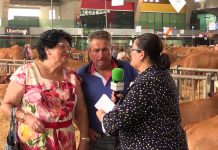 Entrevista José Luis Prendes y Maria Florentina Fernández, homenajeados en San Agustín por sus bodas de oro