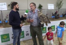 Entrevista a Emilio Martínez, presidente de la Asociación para la Recuperación de la Pita Pinta Asturiana