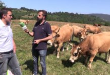 Entrevista al tratante y ganadero de Llanera, Berto Tama