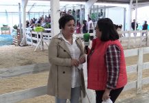 Entrevista a Pamela Peláez, concejal de Agricultura y Ganadería de Tineo