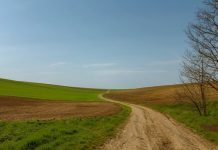 El Sistema de Información Geográfica de Identificación de Parcelas Agrícolas (SIGPAC), clave en el pago de la PAC