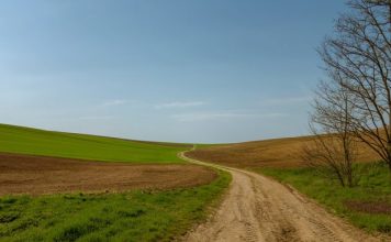 El Sistema de Información Geográfica de Identificación de Parcelas Agrícolas (SIGPAC), clave en el pago de la PAC
