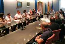 El Principado duplica el presupuesto de este año para combatir la avispa asiática e impulsa el comité de coordinación contra esta plaga