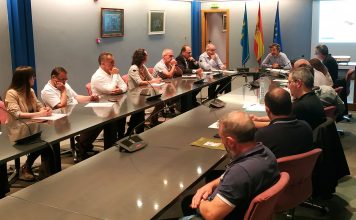 El Principado duplica el presupuesto de este año para combatir la avispa asiática e impulsa el comité de coordinación contra esta plaga